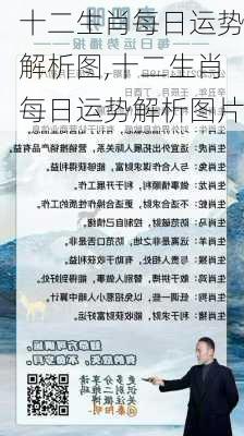 十二生肖每日运势解析图,十二生肖每日运势解析图片