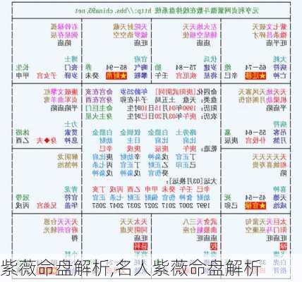 紫薇命盘解析,名人紫薇命盘解析