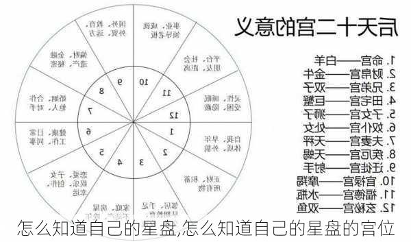 怎么知道自己的星盘,怎么知道自己的星盘的宫位