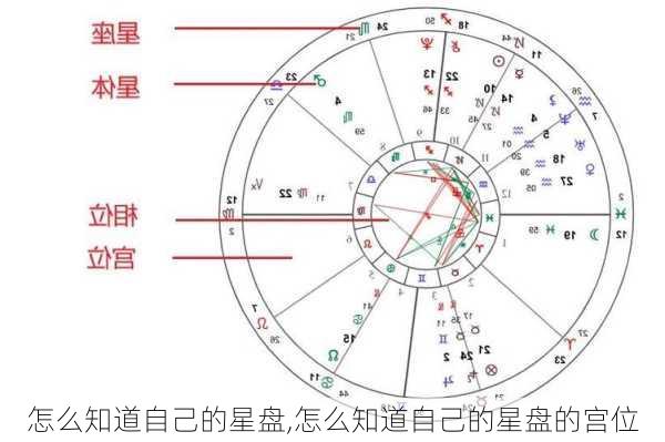 怎么知道自己的星盘,怎么知道自己的星盘的宫位