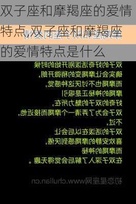 双子座和摩羯座的爱情特点,双子座和摩羯座的爱情特点是什么