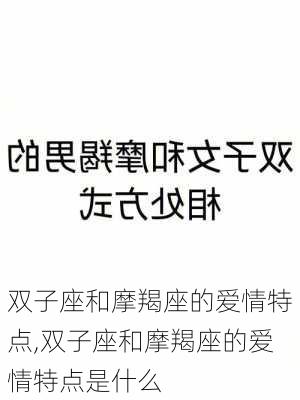 双子座和摩羯座的爱情特点,双子座和摩羯座的爱情特点是什么