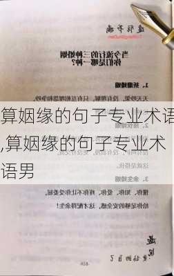 算姻缘的句子专业术语,算姻缘的句子专业术语男