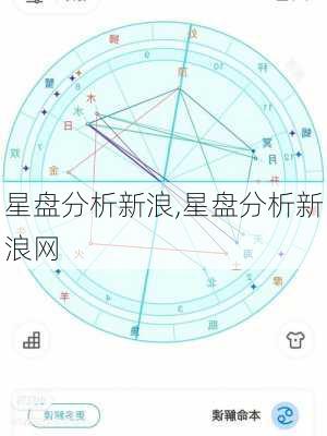 星盘分析新浪,星盘分析新浪网