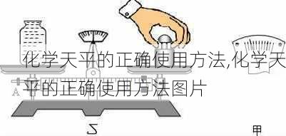 化学天平的正确使用方法,化学天平的正确使用方法图片