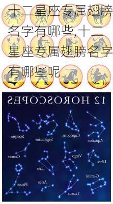 十二星座专属翅膀名字有哪些,十二星座专属翅膀名字有哪些呢