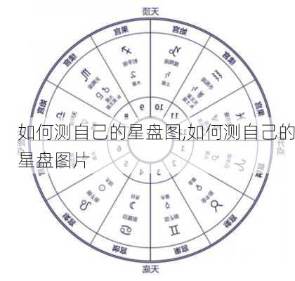 如何测自己的星盘图,如何测自己的星盘图片