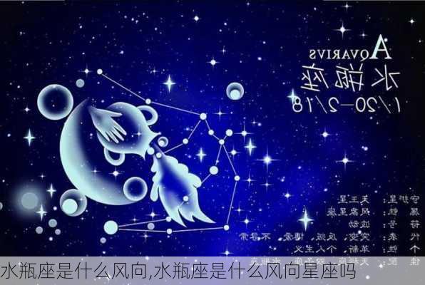 水瓶座是什么风向,水瓶座是什么风向星座吗