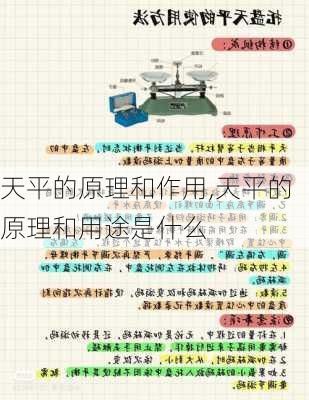 天平的原理和作用,天平的原理和用途是什么