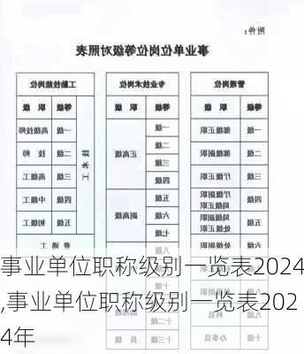 事业单位职称级别一览表2024,事业单位职称级别一览表2024年