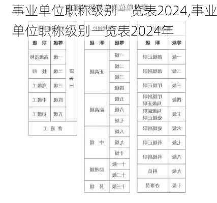 事业单位职称级别一览表2024,事业单位职称级别一览表2024年