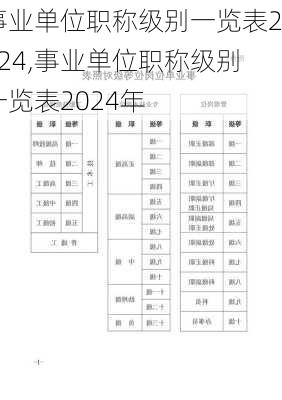 事业单位职称级别一览表2024,事业单位职称级别一览表2024年