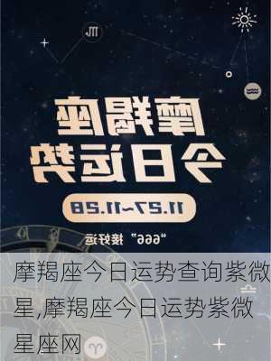 摩羯座今日运势查询紫微星,摩羯座今日运势紫微星座网