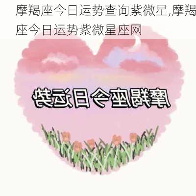 摩羯座今日运势查询紫微星,摩羯座今日运势紫微星座网