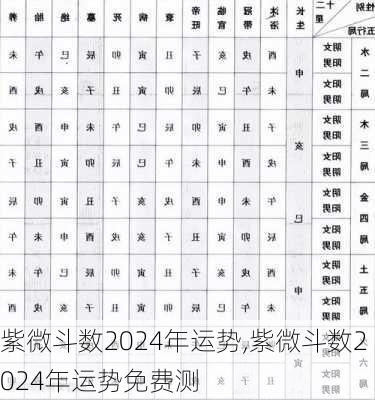 紫微斗数2024年运势,紫微斗数2024年运势免费测