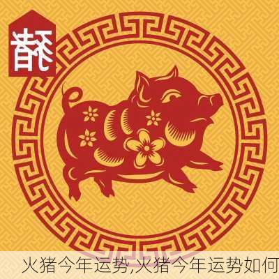 火猪今年运势,火猪今年运势如何