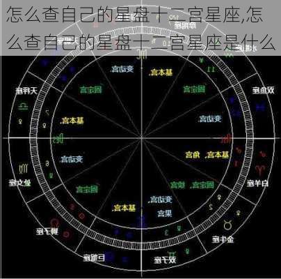 怎么查自己的星盘十二宫星座,怎么查自己的星盘十二宫星座是什么