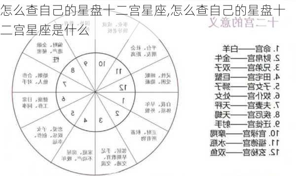 怎么查自己的星盘十二宫星座,怎么查自己的星盘十二宫星座是什么