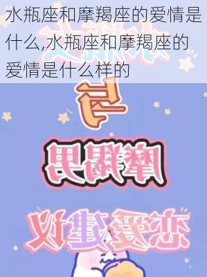 水瓶座和摩羯座的爱情是什么,水瓶座和摩羯座的爱情是什么样的