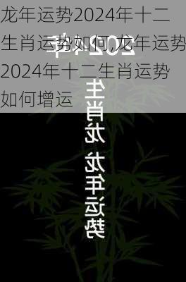 龙年运势2024年十二生肖运势如何,龙年运势2024年十二生肖运势如何增运