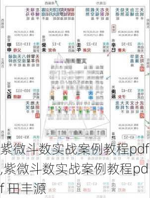 紫微斗数实战案例教程pdf,紫微斗数实战案例教程pdf 田丰源