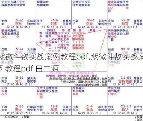 紫微斗数实战案例教程pdf,紫微斗数实战案例教程pdf 田丰源