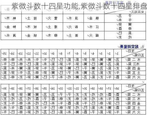 紫微斗数十四星功能,紫微斗数十四星排盘