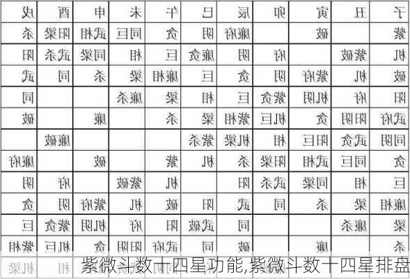 紫微斗数十四星功能,紫微斗数十四星排盘