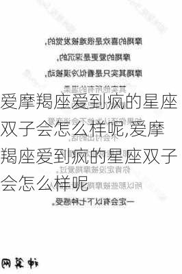 爱摩羯座爱到疯的星座双子会怎么样呢,爱摩羯座爱到疯的星座双子会怎么样呢