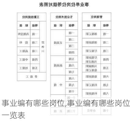 事业编有哪些岗位,事业编有哪些岗位一览表