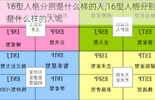 16型人格分别是什么样的人,16型人格分别是什么样的人呢