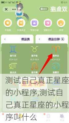 测试自己真正星座的小程序,测试自己真正星座的小程序叫什么