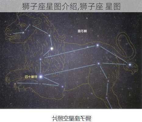 狮子座星图介绍,狮子座 星图