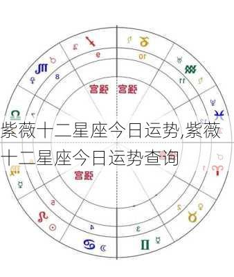 紫薇十二星座今日运势,紫薇十二星座今日运势查询