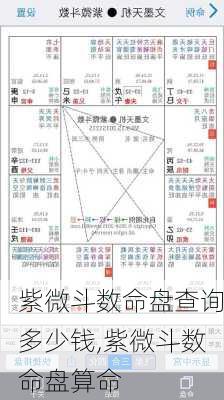 紫微斗数命盘查询多少钱,紫微斗数命盘算命