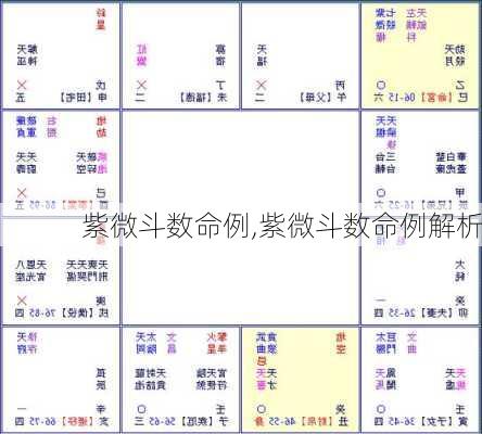 紫微斗数命例,紫微斗数命例解析