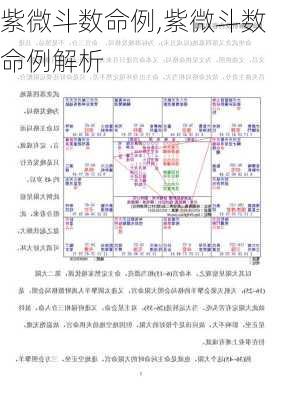 紫微斗数命例,紫微斗数命例解析