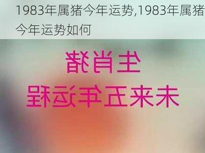 1983年属猪今年运势,1983年属猪今年运势如何