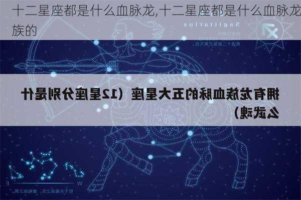 十二星座都是什么血脉龙,十二星座都是什么血脉龙族的