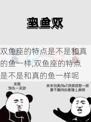 双鱼座的特点是不是和真的鱼一样,双鱼座的特点是不是和真的鱼一样呢