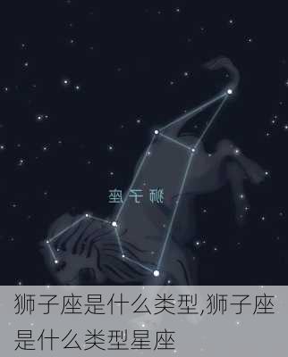 狮子座是什么类型,狮子座是什么类型星座