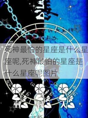 死神最怕的星座是什么星座呢,死神最怕的星座是什么星座呢图片