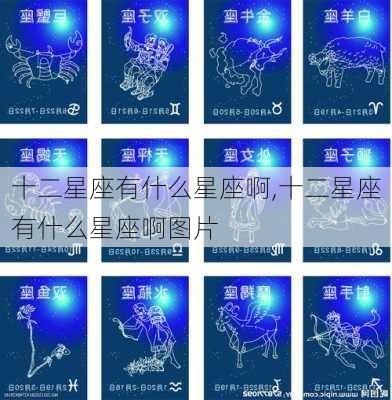 十二星座有什么星座啊,十二星座有什么星座啊图片