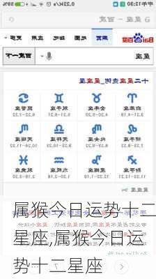 属猴今日运势十二星座,属猴今日运势十二星座