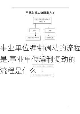 事业单位编制调动的流程是,事业单位编制调动的流程是什么