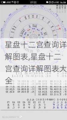 星盘十二宫查询详解图表,星盘十二宫查询详解图表大全