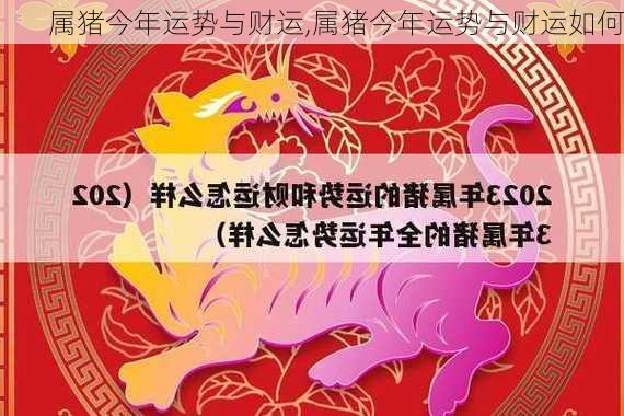 属猪今年运势与财运,属猪今年运势与财运如何