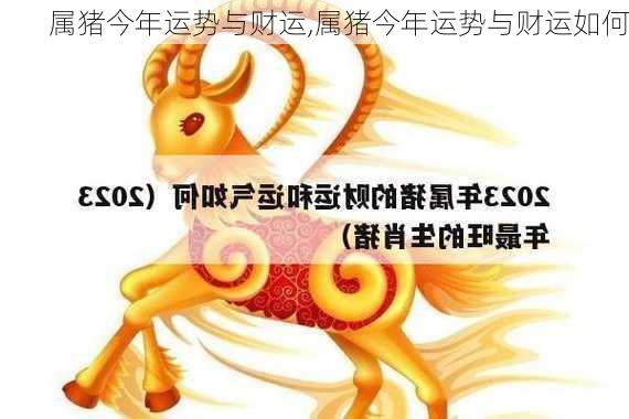 属猪今年运势与财运,属猪今年运势与财运如何