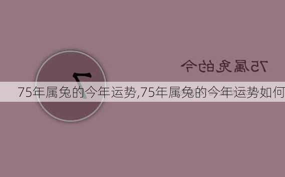 75年属兔的今年运势,75年属兔的今年运势如何