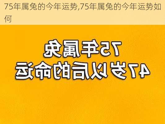 75年属兔的今年运势,75年属兔的今年运势如何